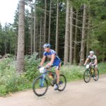 mtb auf der forststrasse neurittsteig